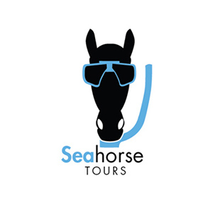 Logo Project. In my Sophomore Graphic Design class we created 3 different logos in 3 weeks time.